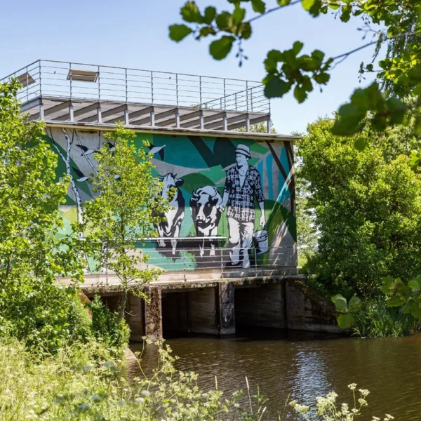 Katerio nuoma Nemuno deltoje, Mingėje