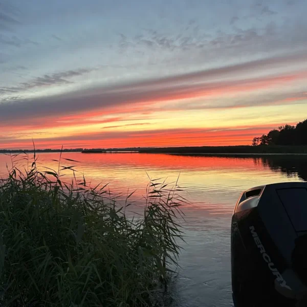 Katerio nuoma vakariniam plaukimui Mingėje