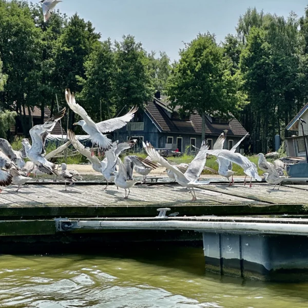 Kateris Uostadvaryje – patikima laivų nuoma