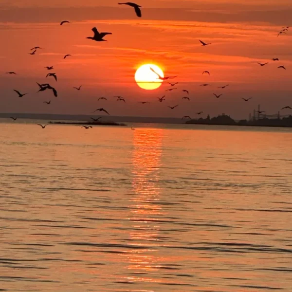 Kateris Mingėje – vandens turizmo pramoga